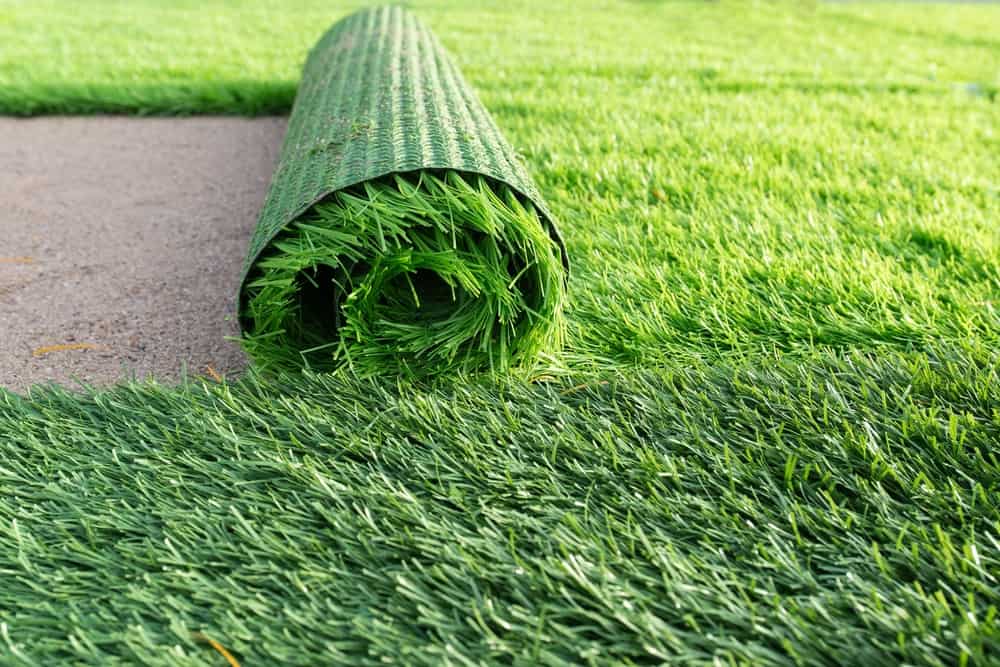 Artificial Grass for Pet